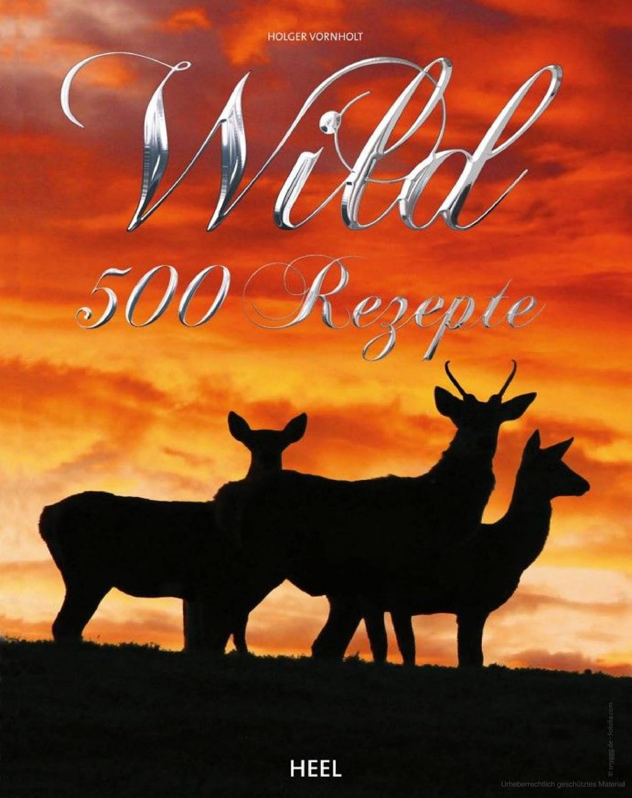 produkt_Wild : 500 Rezepte